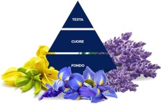 Felce Azzura Talco e Lavanda mini